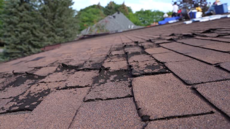 Best Slate Roofing  in Oakmont, PA